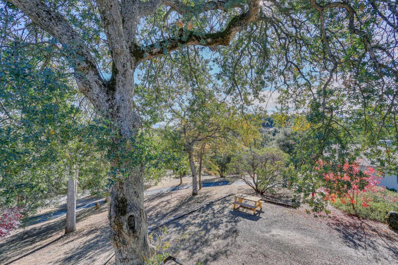 Cozy Studio With Well-Being Retreat Near Yosemite! 阿赫瓦尼 外观 照片